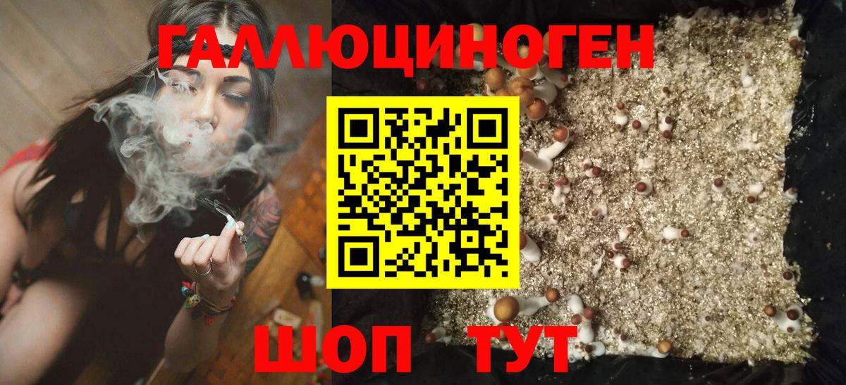 Псилоцибиновые грибы Magic Shrooms Вышний Волочёк