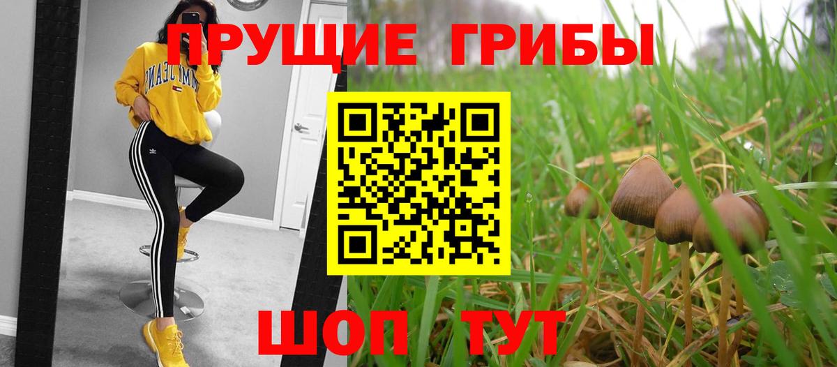 Галлюциногенные грибы ЛСД  Псилоцибиновые грибы Psilocybine cubensis  Вышний Волочёк 