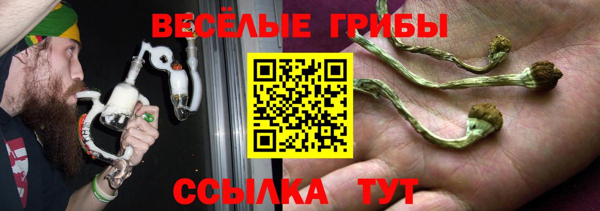 Вышний Волочёк  Псилоцибиновые грибы прущие грибы  Вход с VPN 